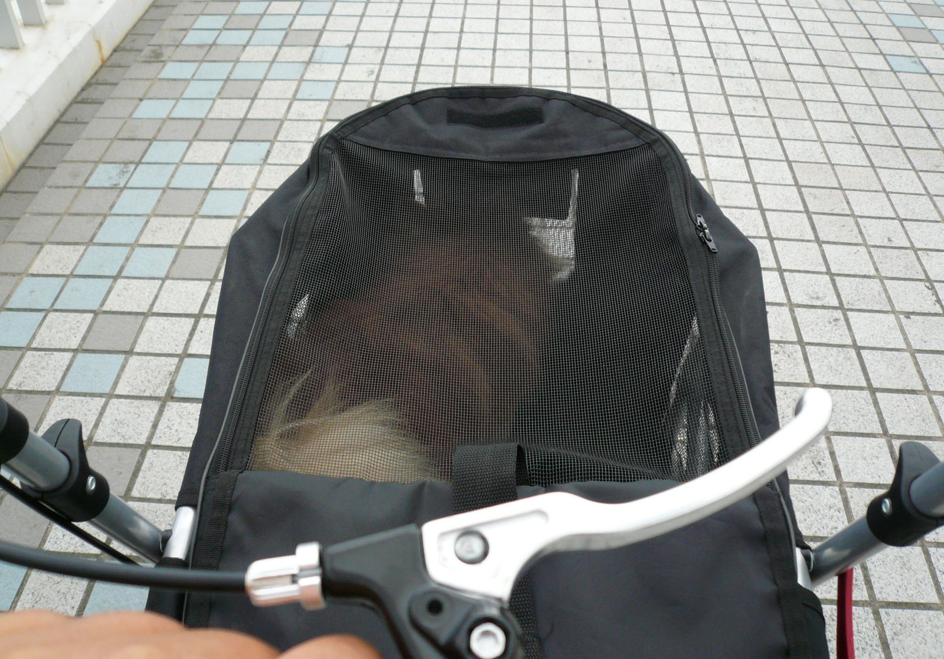 c0128896_055866.jpg