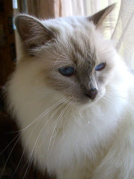a0045697_2237168.jpg