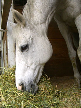 a0045697_22394187.jpg