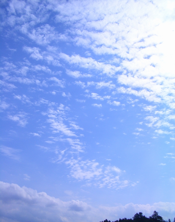 d0069498_9224143.jpg