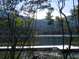e0049598_1929199.jpg