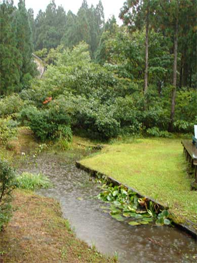 a0061599_7473333.jpg