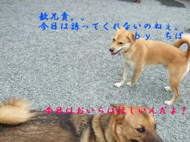 b0087400_0405114.jpg