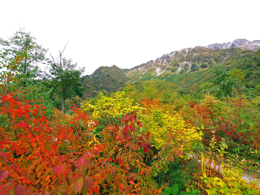 d0020300_21351169.jpg