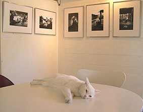 c0041201_10505425.jpg