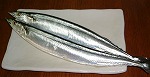 c0125501_1571114.jpg