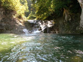 d0004301_22493377.jpg