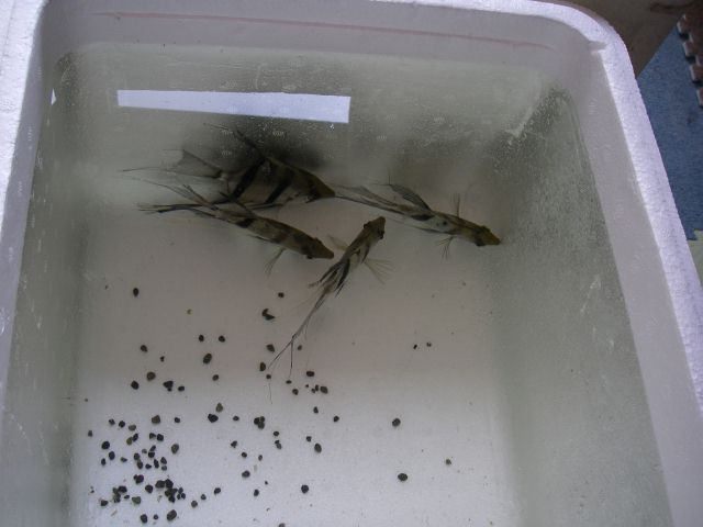 e0010301_1637661.jpg