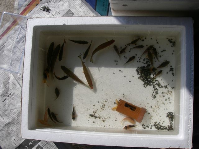 e0010301_16392794.jpg