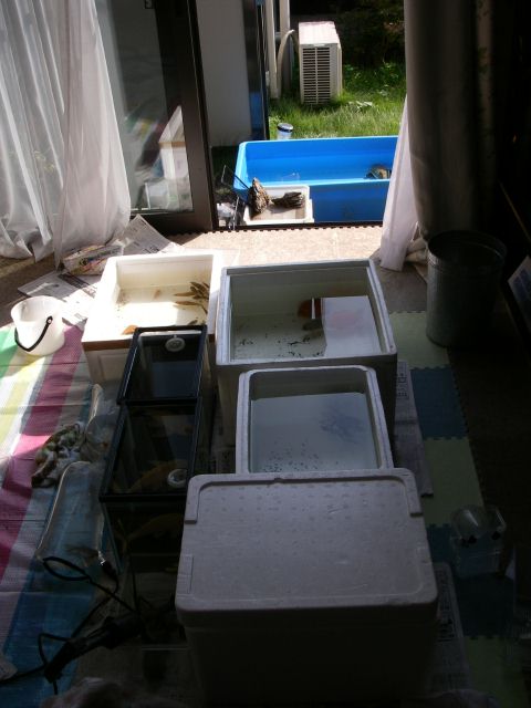 e0010301_16411279.jpg