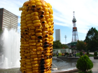 f0020302_20561663.jpg