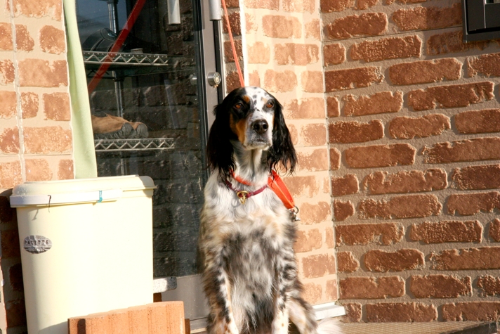 f0034602_10184870.jpg