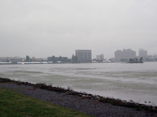 e0060305_13163180.jpg