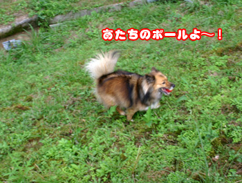 a0041108_2195299.jpg