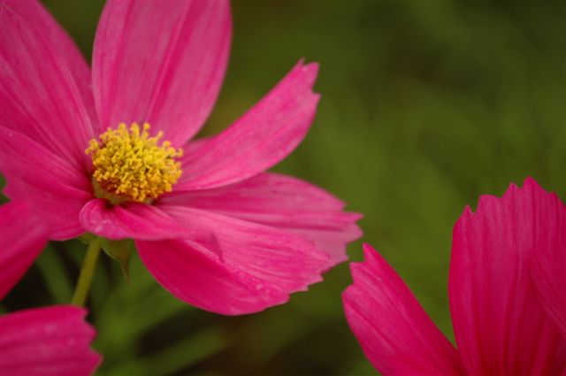 a0099808_2171019.jpg