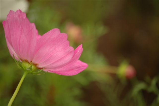 a0099808_2193790.jpg