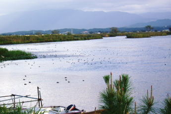d0001008_17423521.jpg