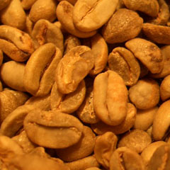 c0036617_16493259.jpg
