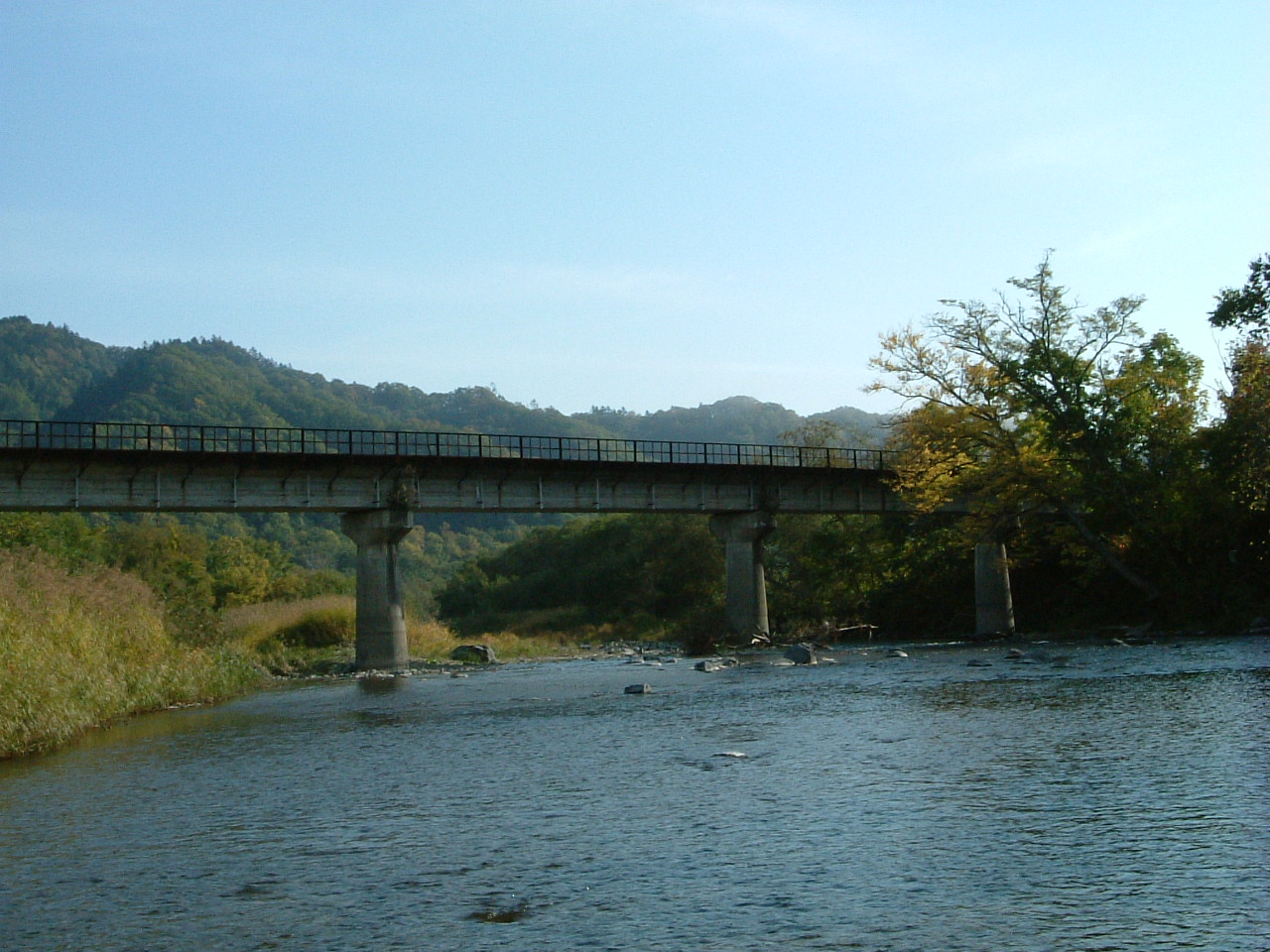 f0153018_15292341.jpg
