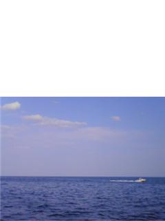 f0013519_0204276.jpg