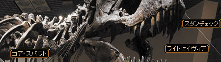 e0004726_9175725.jpg