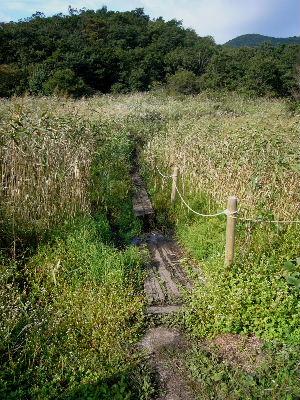 d0075131_23195178.jpg