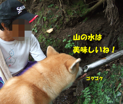 f0008935_15174781.gif