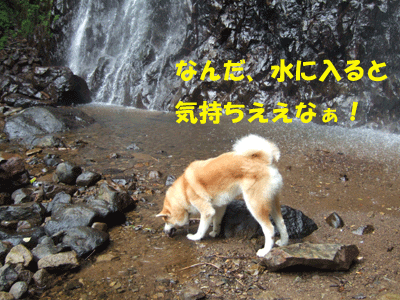 f0008935_15254614.gif