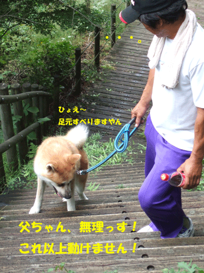 f0008935_1554966.gif