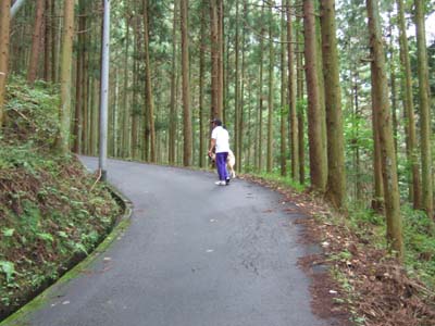 f0008935_17292163.jpg