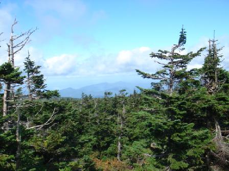 b0079436_21114488.jpg