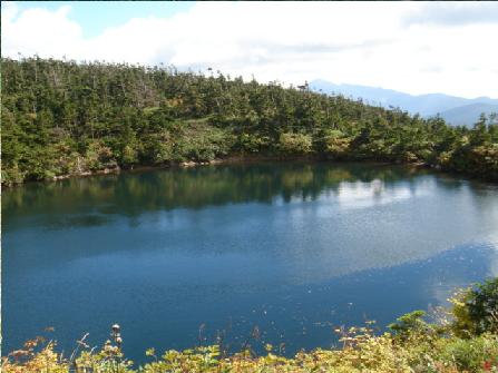 b0079436_21285244.jpg