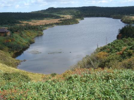 b0079436_2145445.jpg