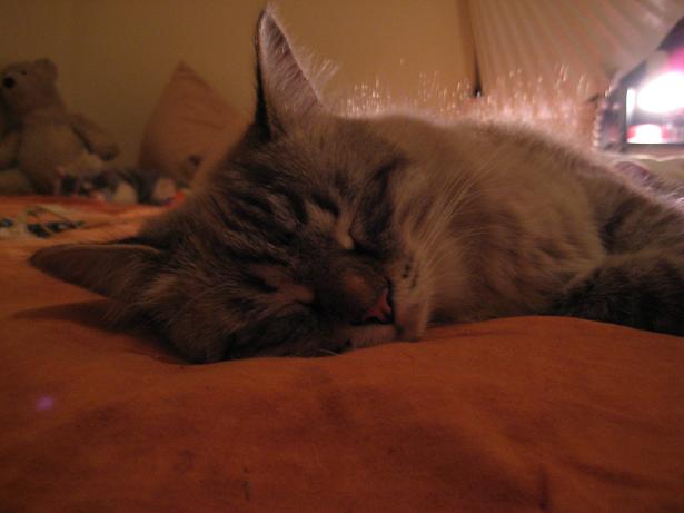 c0132537_7232072.jpg