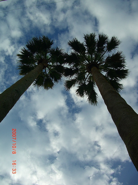 b0029438_002132.jpg