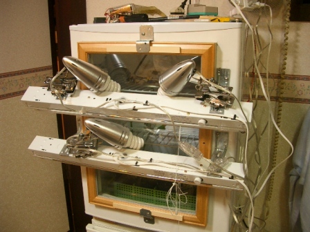 c0025140_164060.jpg