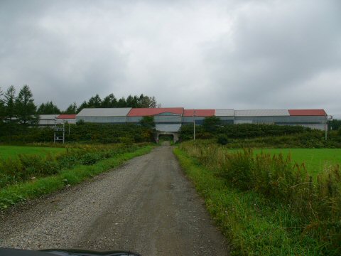 f0068341_23105888.jpg