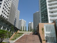 e0080345_181112.jpg