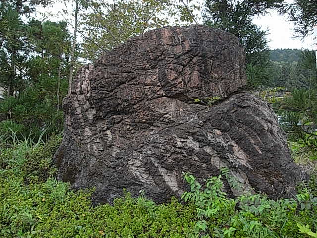 e0126548_23561445.jpg