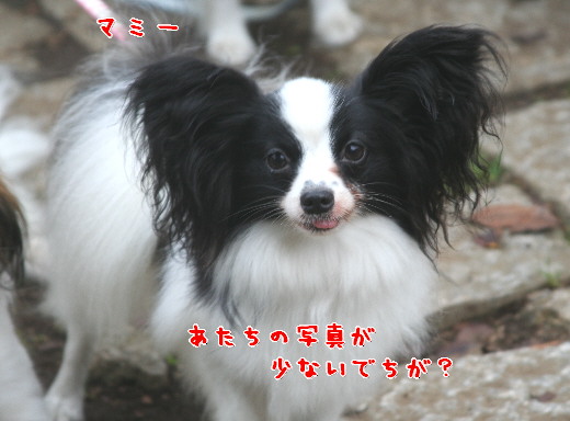 d0013149_2132835.jpg