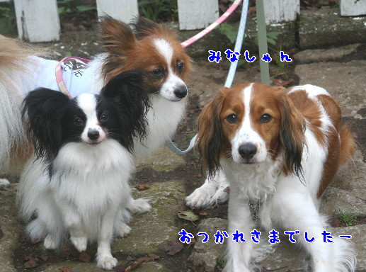 d0013149_2554625.jpg