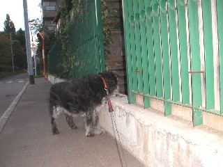 d0006253_1541913.jpg