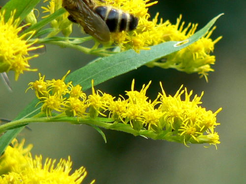 d0091754_0513067.jpg