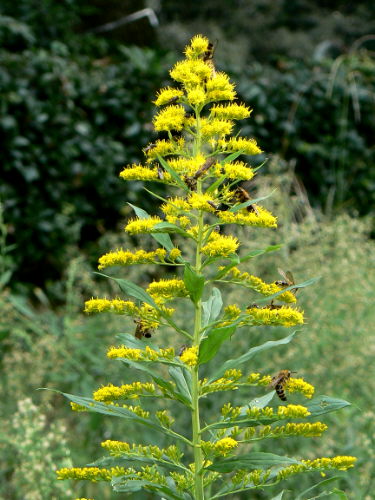 d0091754_0514349.jpg