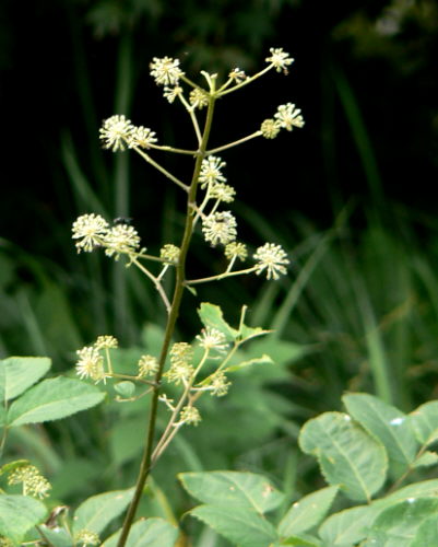 d0091754_2105182.jpg
