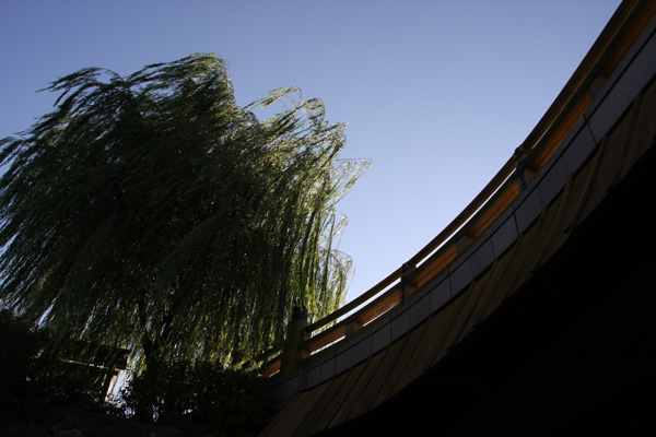 e0122855_23472794.jpg