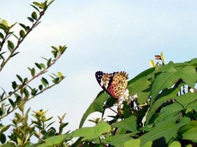 f0086169_14104351.jpg