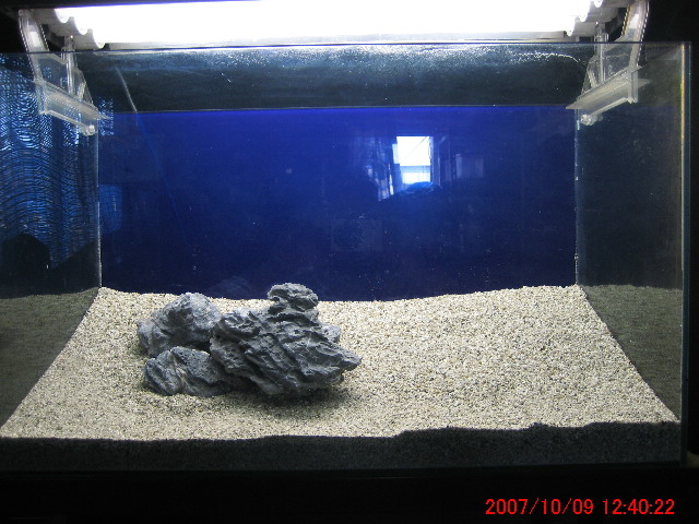 d0090170_20545352.jpg