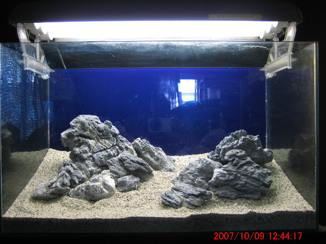 d0090170_20591222.jpg