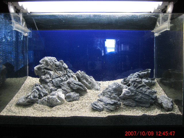 d0090170_2113632.jpg